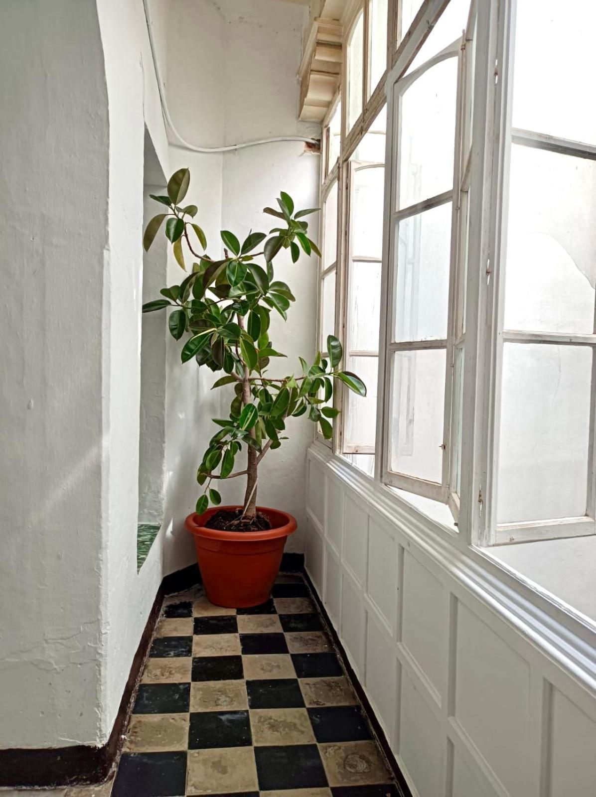 Precioso Apartamento: La Luz De Cadiz Bagian luar foto